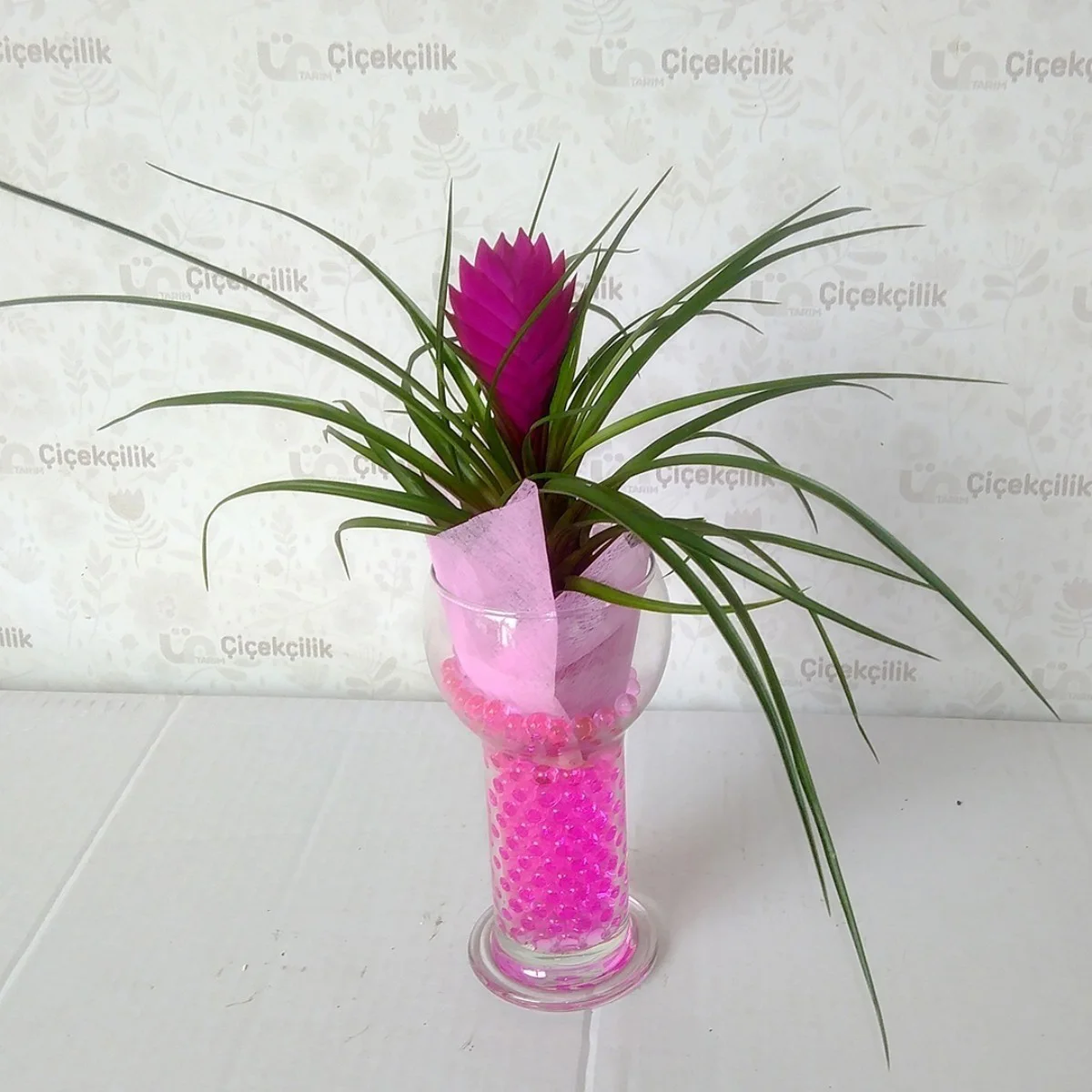 İthal Cam Vazoda Tillandsia