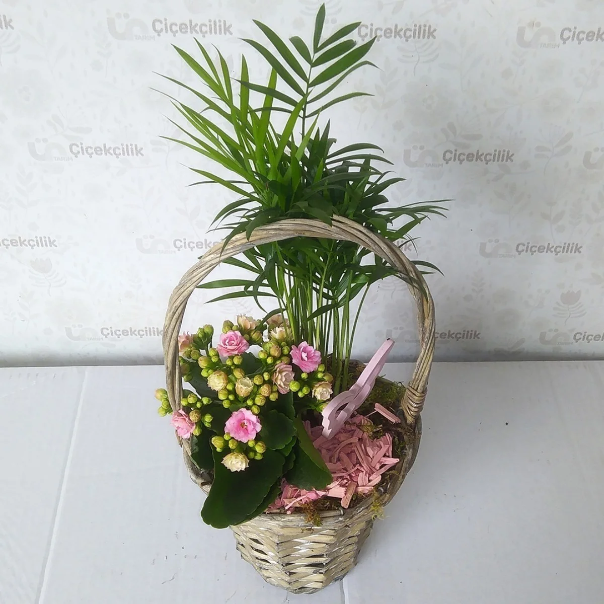 İthal Sepette Kalanchoe - Areca Aranjmanı