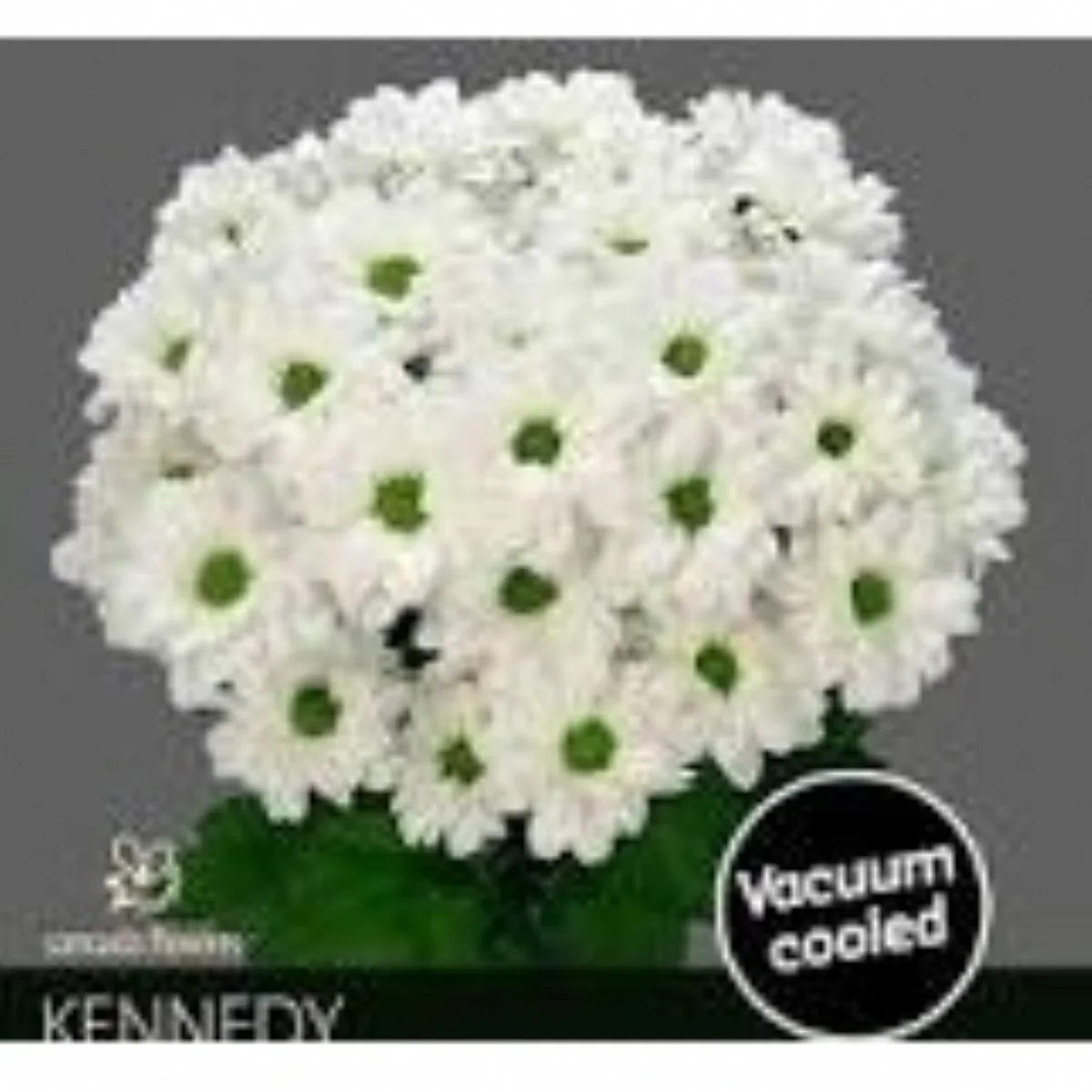Chr T Kennedy
