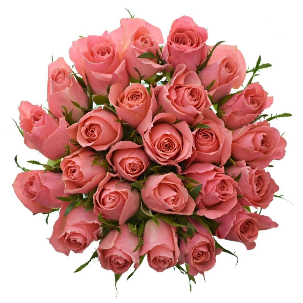 R GR Ace Pink