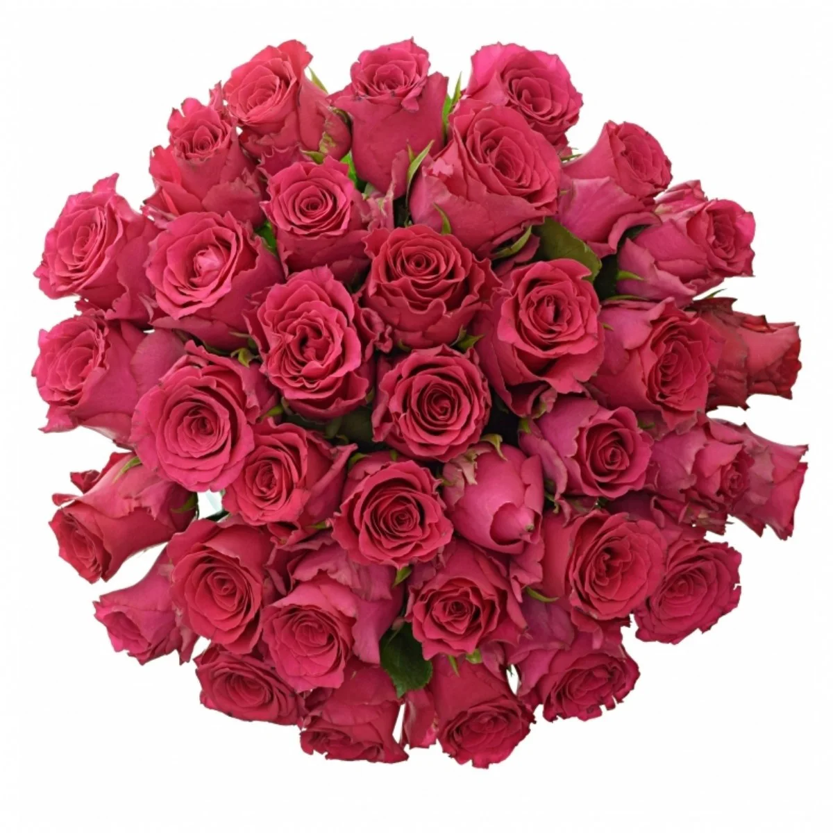 R Gr Pink Rhodos