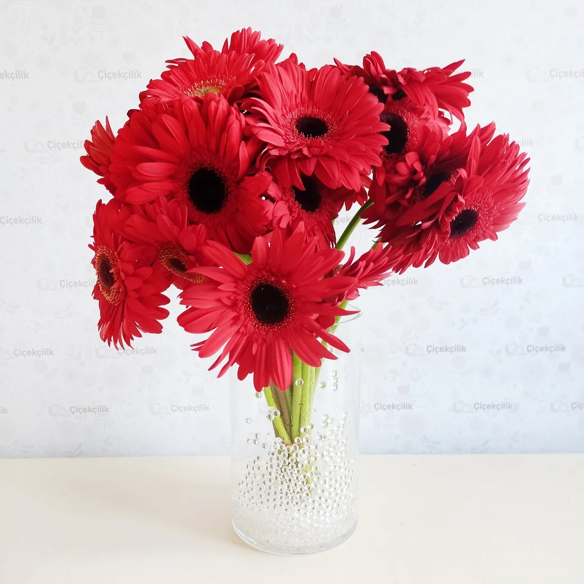 Gerbera Kırmızı - Yeliz Kırmızısı