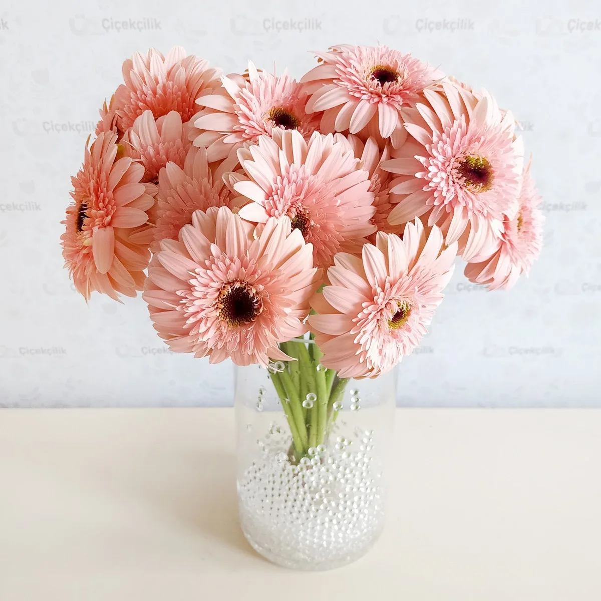Gerbera Pembe - Rozalin